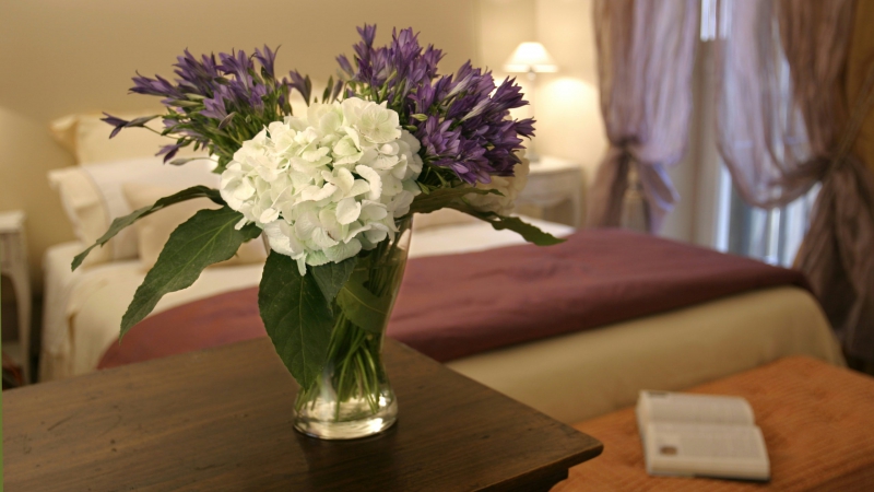 Elite-Apartments-Рим-Ripetta-suite-цветы